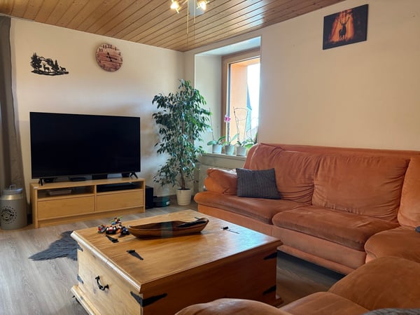 Belle maison villageoise composée de deux appartements à vendre 2