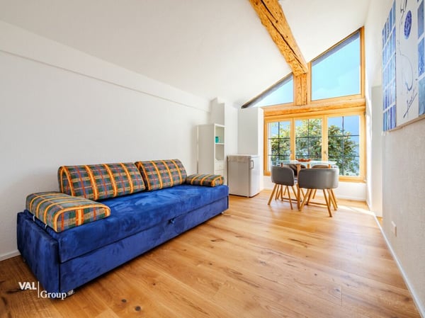 Opportunité unique: Maison avec deux appartements indépendants (5.5 et 2.5 pièces) 2