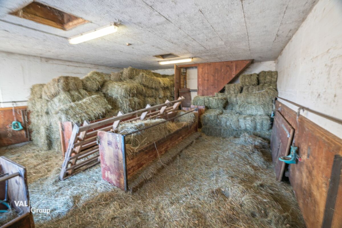 Stalla, fienile e garage in una bella posizione