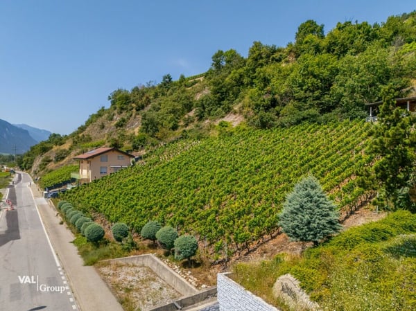 Magnifique terrain avec joli dégagement 2