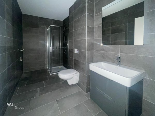 Studio en Ville de Sion avec terrasse et pelouse 3