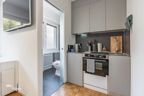 Charmant Studio rénové 3