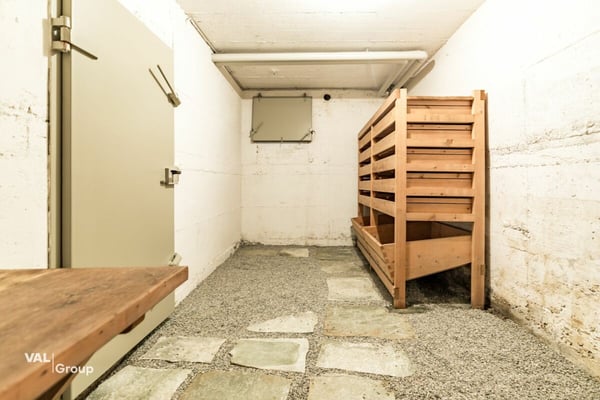 Seltene Gelegenheit: viel Raum, grosser Garten, zentrale Lage mit Gewerbeoption 28