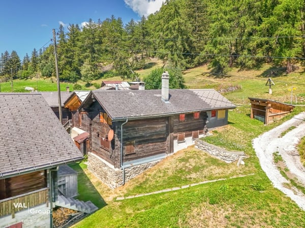 In der Stille der Natur zuhause - 3.5-Zimmer-Wohnung im Salwald 1