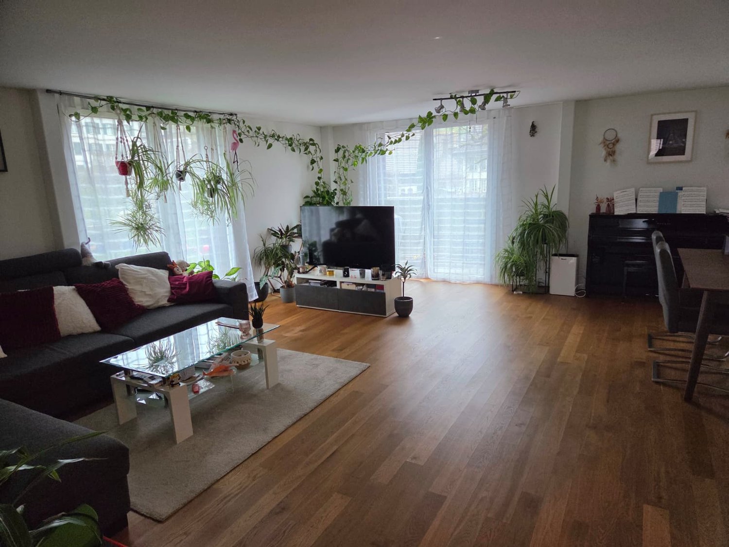 Living room with wooden floor, large windows, couch, coffee table, TV, plants, rug, piano, dining table, chairs