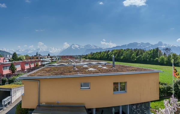 Besondere Wohnung mit Alpensicht zu verkaufen 4