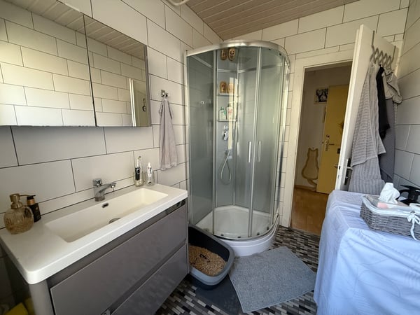 Vivre en ville sans compromis 13