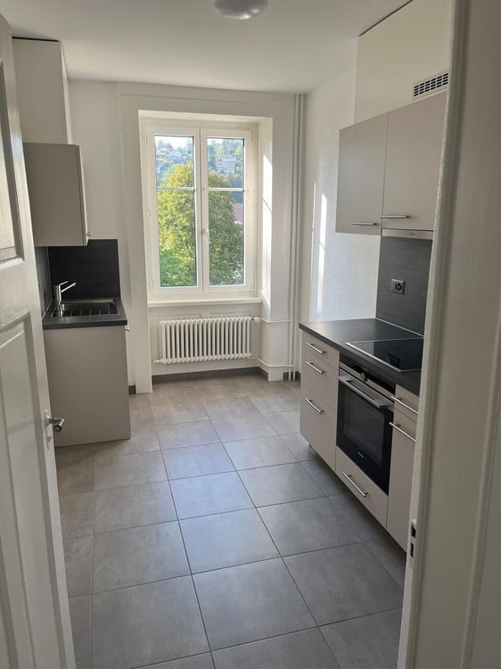 Appartement rénové de 3 pces avec garage et balcon 2