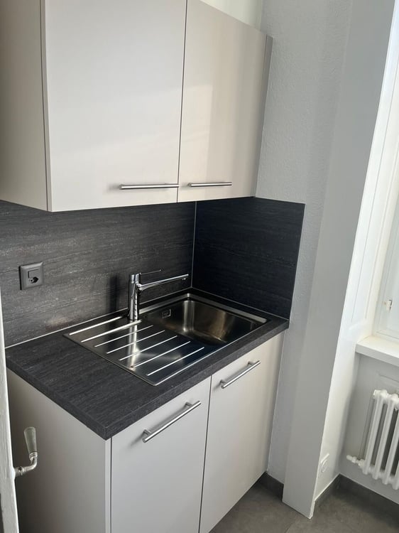 Appartement rénové de 3 pces avec garage et balcon 3