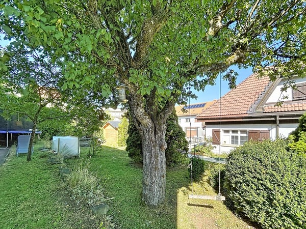 5.5 pièces avec jardin, proche de toutes les commodités 6