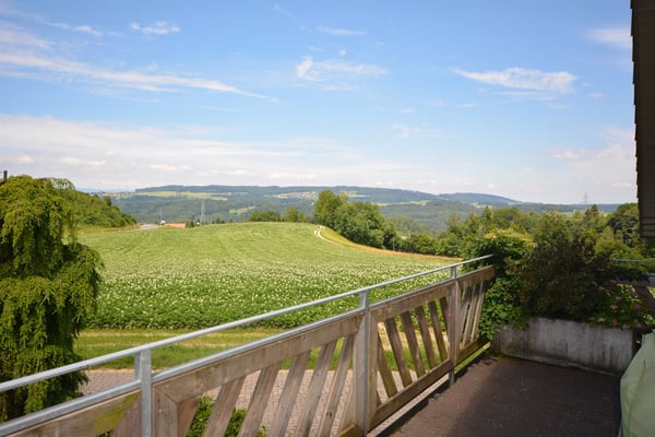 Charmante 4.5-Zimmer-Dachwohnung Heggidorn – Ruhige Lage mit herrlichem Ausblick 29