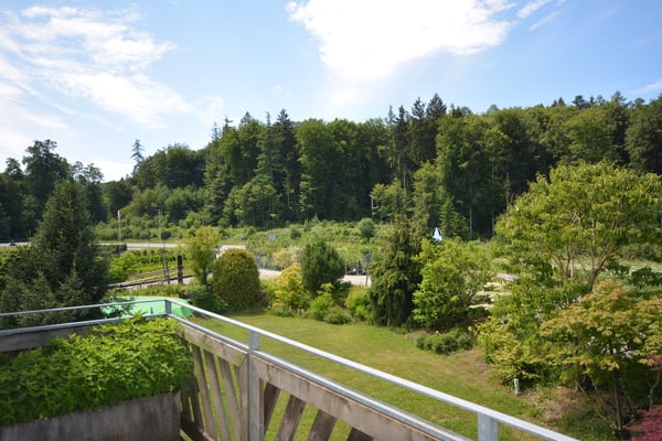 Charmante 4.5-Zimmer-Dachwohnung Heggidorn – Ruhige Lage mit herrlichem Ausblick 30