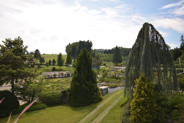 Charmante 4.5-Zimmer-Dachwohnung Heggidorn – Ruhige Lage mit herrlichem Ausblick 28