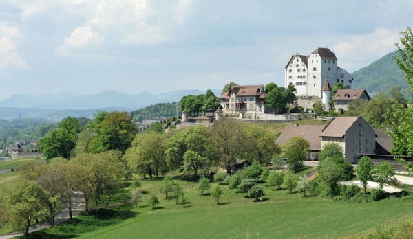 zu vermieten Studio in Möriken 10