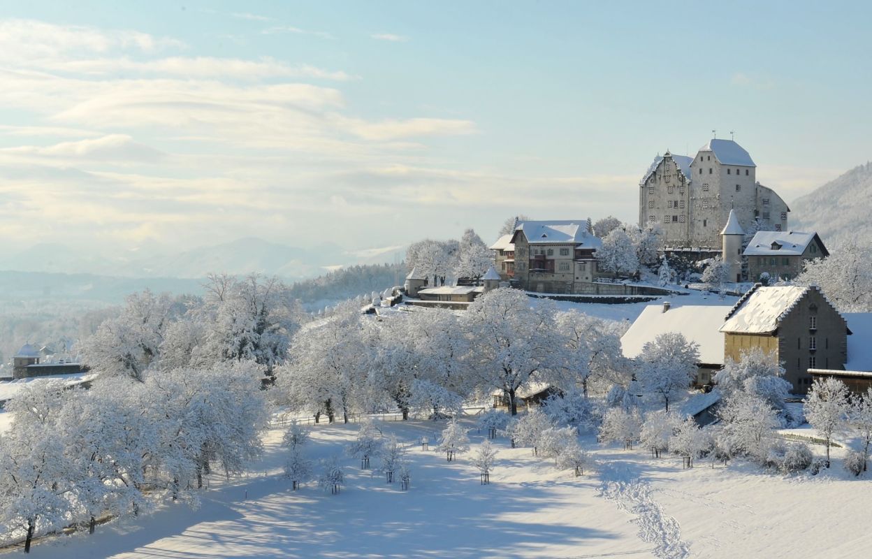 zu vermieten exklusive 4.5 Zi-Mietwohnung mit Blick auf Schloss Wildegg