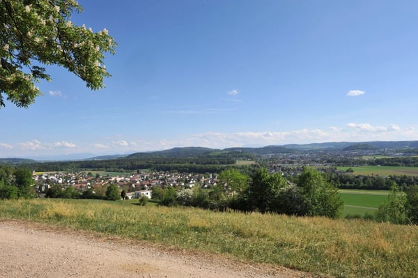 zu vermieten exklusive 4.5 Zi-Mietwohnung mit Blick auf Schloss Wildegg 17