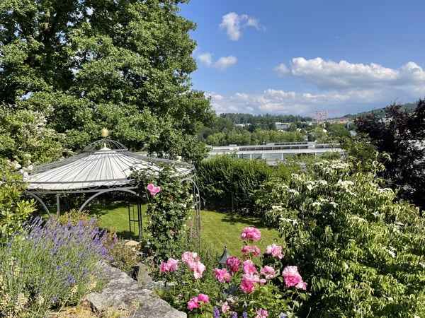 Berner Landgut - REHHAG 5