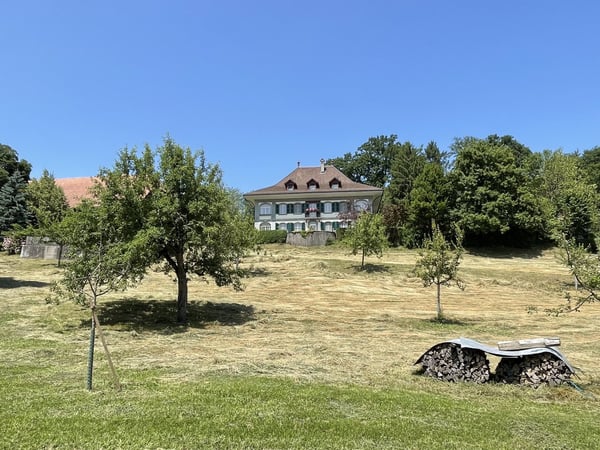 Berner Landgut - REHHAG 21