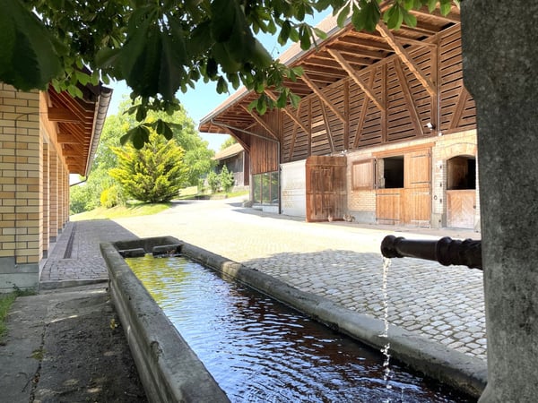 Berner Landgut - REHHAG 16