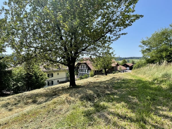 Berner Landgut - REHHAG 19