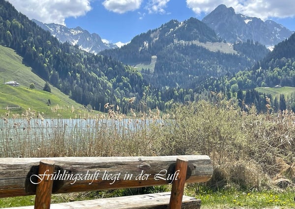 Sommer- & Winterhaus 