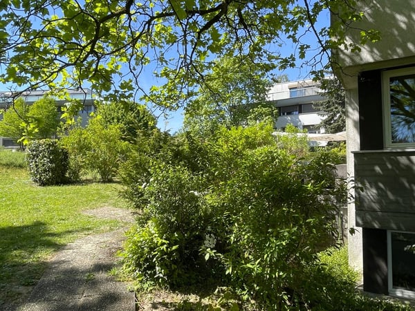 Schöner Grundriss, Balkon & Dachterrasse 5
