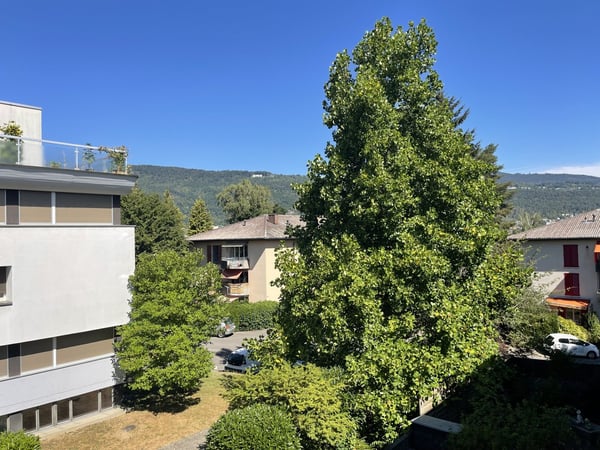 Schöner Grundriss, Balkon und Dachterrasse 5
