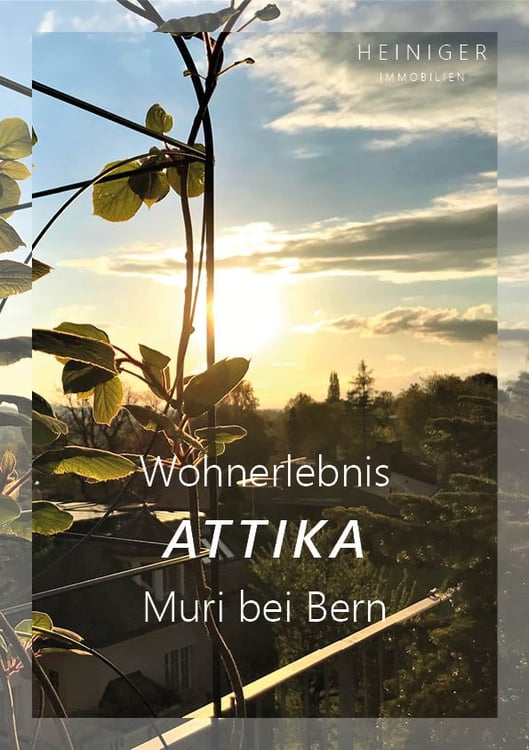 Vorschaubild der Immobilie