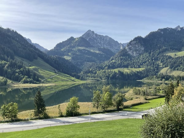 Sommer- & Winterhaus 4