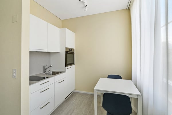 Gemütliche 1-Zimmer-Wohnung in Bischofszell 2