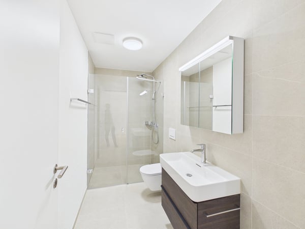 Moderne 4.5-Zimmer Attikawohnung 3