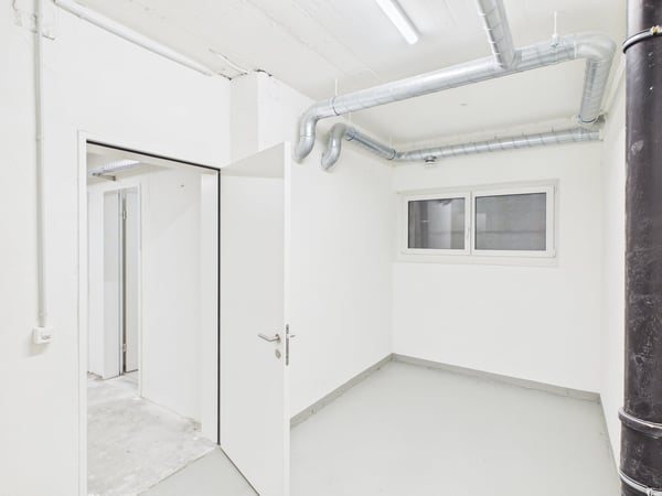 Grosszügige Lagerfläche mit 130 m² in Altstätten SG 4