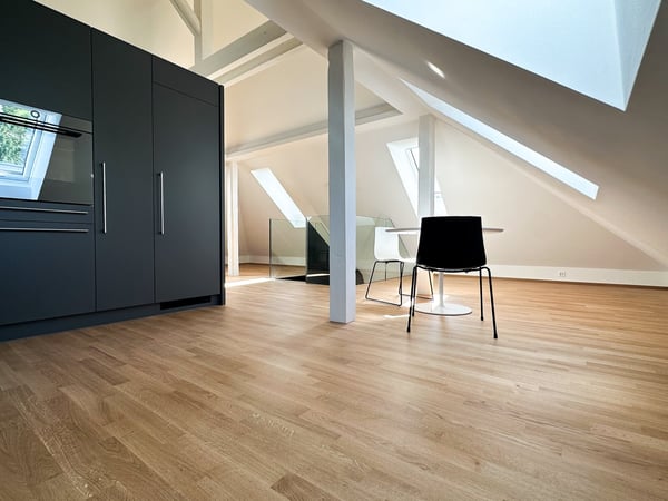 Appartement meublé de 1.5 pièces en duplex 5