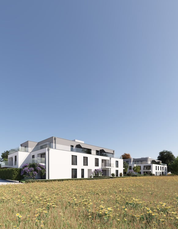 Appartement neuf de 2,5 pièces à Erlach 5