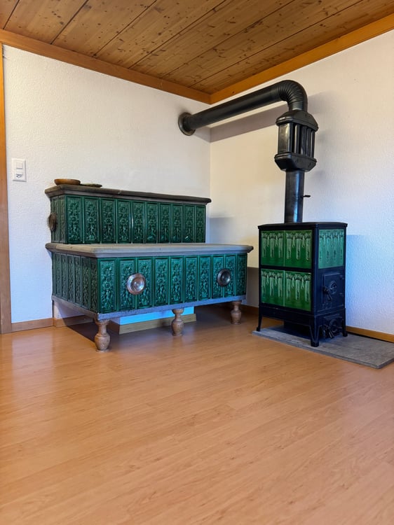 Ankommen, wohlfühlen – Haushälfte mit Baulandreserve in Hofstetten bei Brienz 15