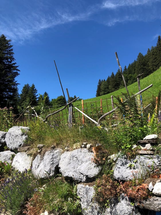 «Adlerhorst» Weit ab allein auf weiter Flur, mit Traumaussicht 10