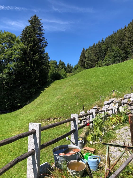 «Adlerhorst» Weit ab allein auf weiter Flur, mit Traumaussicht 4