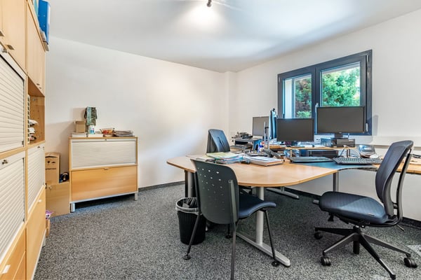 Dans les hauts de la Fusion : propriété rénovée de 450 m² avec surfaces habitables et commerciales 19