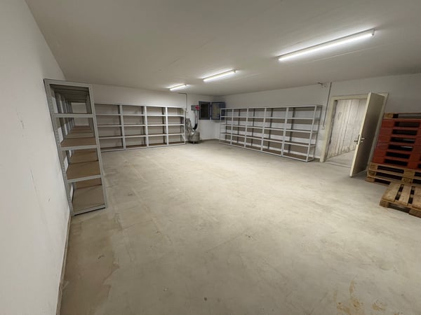 Vielseitiger Gewerberaum mit Atelier-Charakter in Eschenz 2