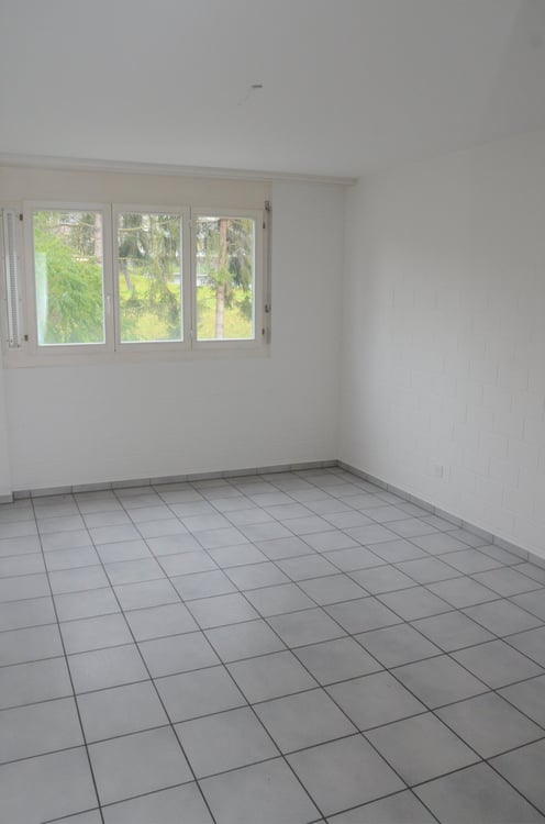 Helle 4.5-Zimmer-Wohnung 3