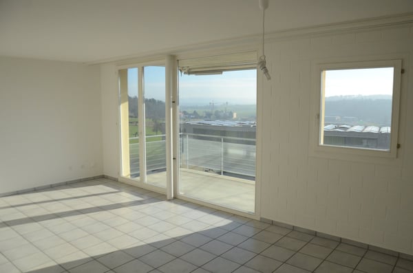 Helle 4.5-Zimmer-Wohnung 2
