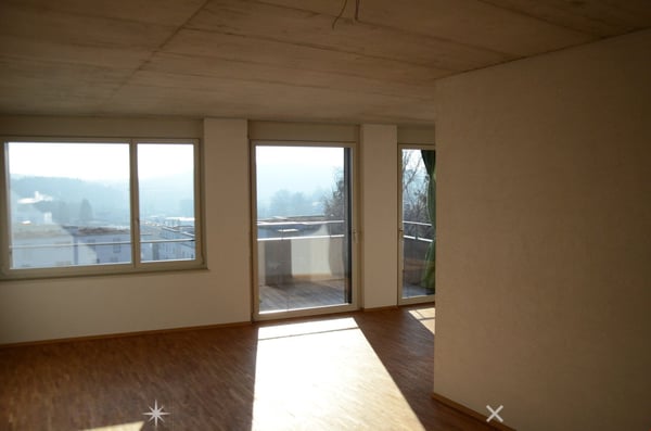 Topmoderne Loft-Wohnung 3