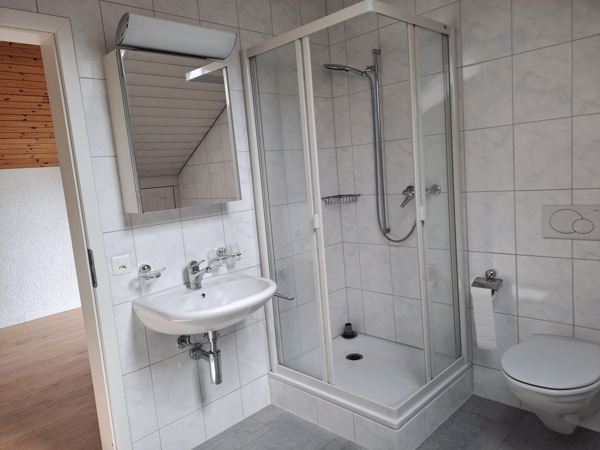 Lichtdurchflutete 5.5 Zimmer-Maisonettewohnung 8