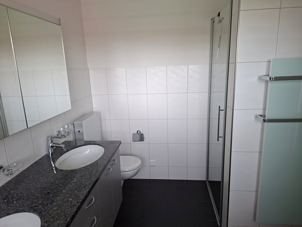 4.5 Zimmer-Attikawohnung mit direktem Liftzugang 8