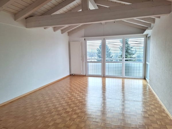 4½ Zi. Attika • Ruhige Lage • Lift bis in die Wohnung 8