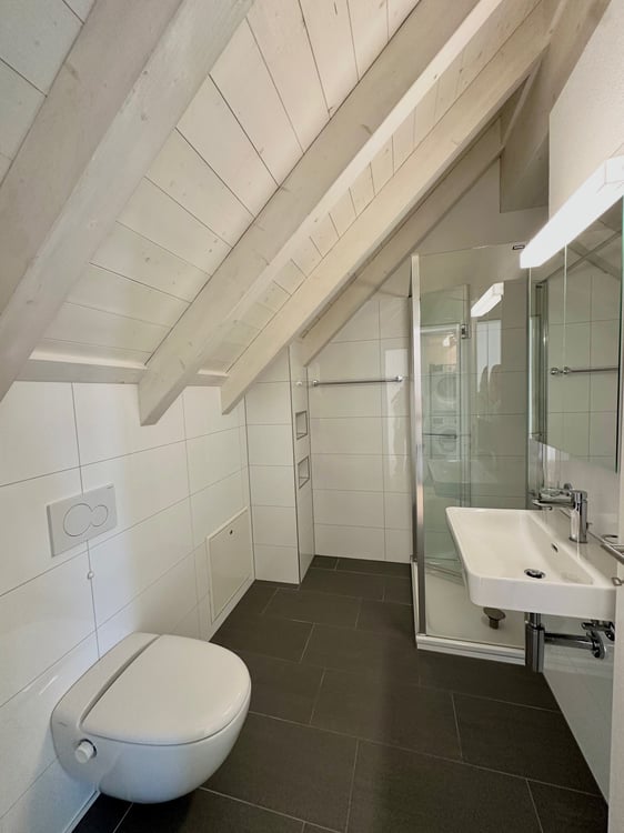 Charmante & helle 2.5-Zimmer-Dachwohnung mit Lift an zentraler Lage 6
