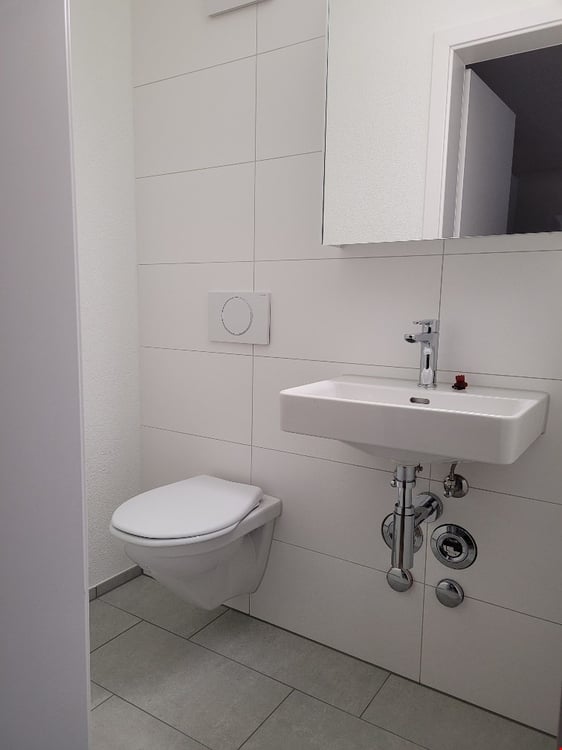 3,5-Zimmer-Wohnungen zu vermieten 4