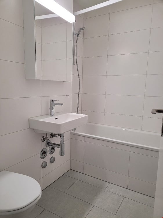 3,5-Zimmer-Wohnungen zu vermieten 3