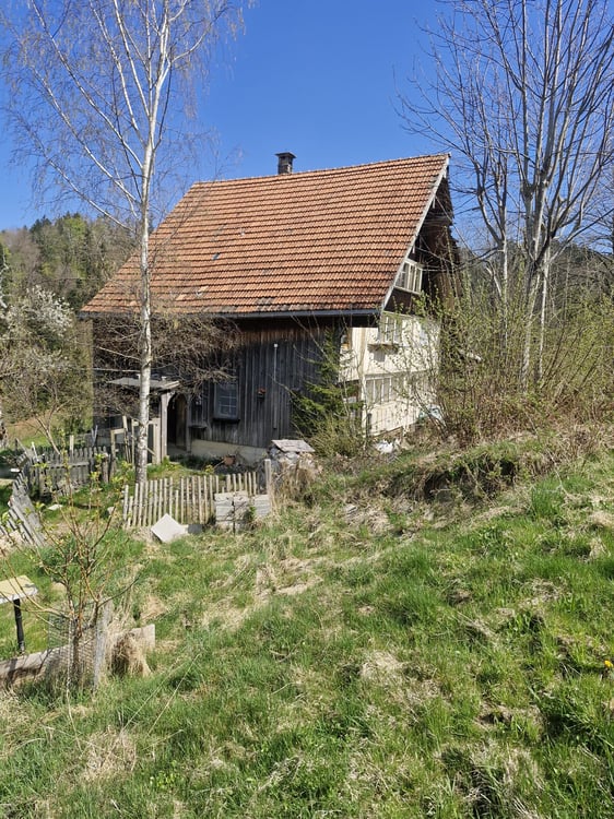 Charmantes 6.5-Zimmer-Einfamilienhaus in Schwellbrunn 2