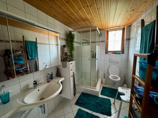 Einfamilienhaus mit zusätzlicher Einliegerwohnung 6